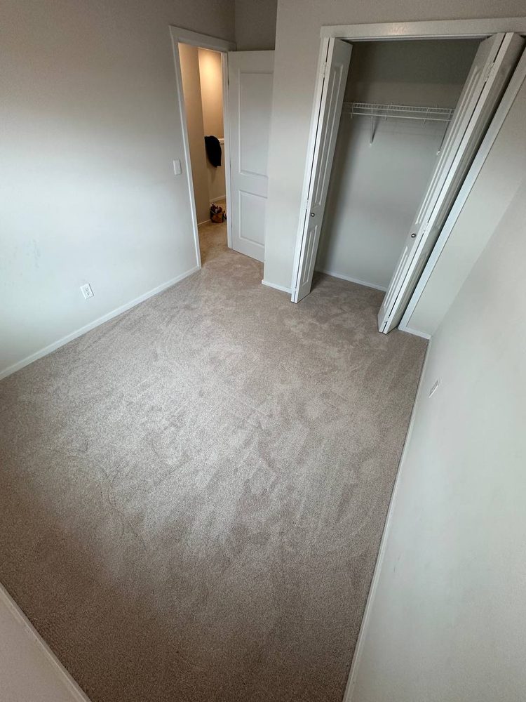 Fresh carpet laid in a bedroom and finished into the closet